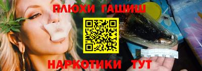 гашик Ирбит