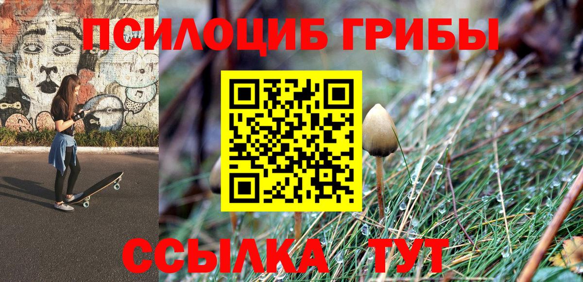 Галлюциногенные грибы прущие грибы  Псилоцибиновые грибы прущие грибы  где купить наркоту  Мирный  Вход с VPN 
